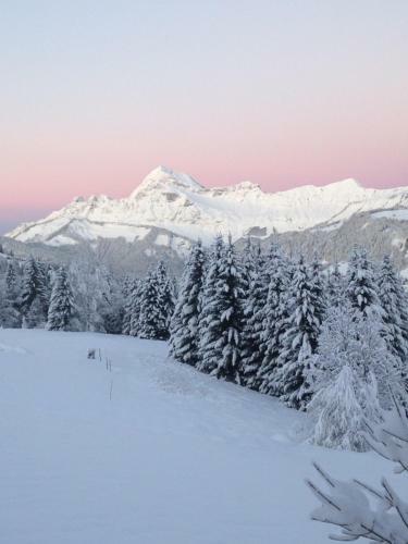 Aparthotel La Ferme Des Georgi�res