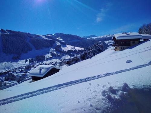 Apartamento Demi Chalet Le Lachat