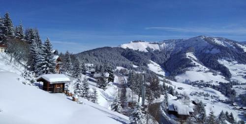 Apartamento Demi Chalet Le Lachat