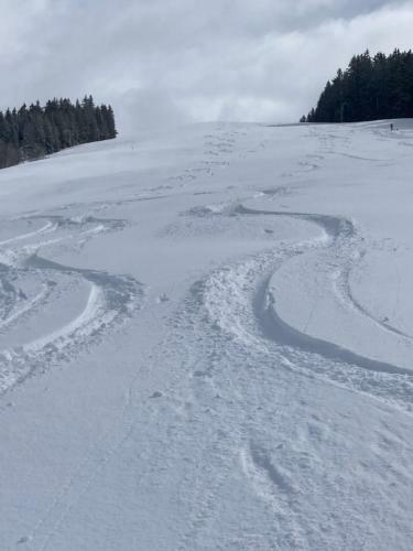 Apartamento Demi Chalet Le Lachat