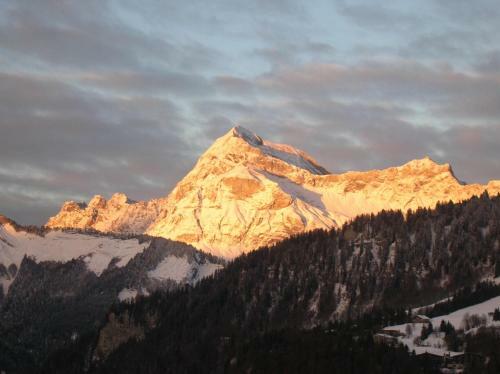 Apartamento Chalet La Tovasse