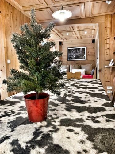 Chalet Marie Claire
