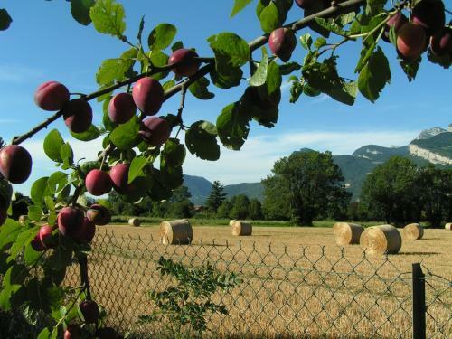 Bed & Breakfast Les Champs Dor�s