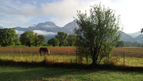 Bed & Breakfast Les Champs Dor�s