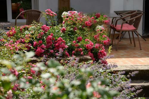 Hostal Le Gratin Mondain