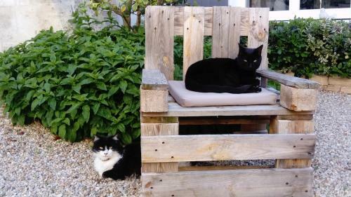 Bed & Breakfast Le Clos Des Treilles