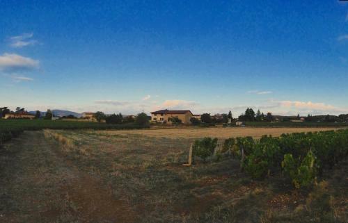 Bed & Breakfast Le Clos Du Cher En Beaujolais