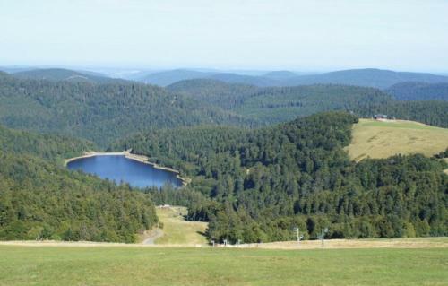 Au Pied Du Markstein