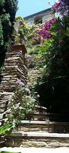 Bed & Breakfast A Casa Di Pia