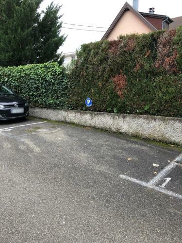 Apartamento Au Pied Des Vosges