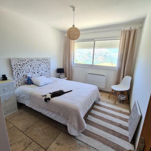 Bed & Breakfast Casa Suprana