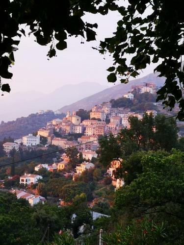 Hostal Villa Milanu