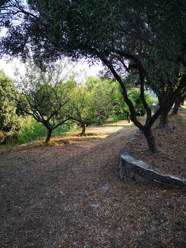 Hostal Villa Milanu