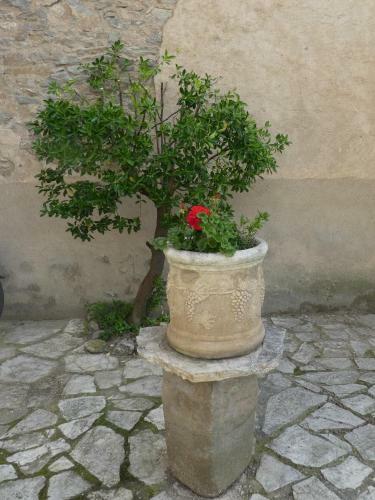 Bed & Breakfast Chambre D'h�tes Eloi Merle