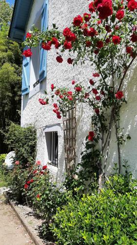 Bed & Breakfast La Rive D'o