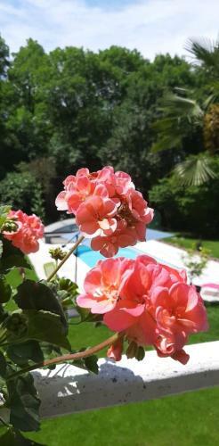Bed & Breakfast La Rive D'o