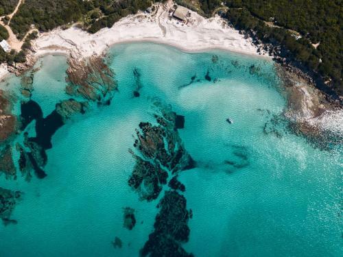 Apartamento Appartement Corse Olmeto