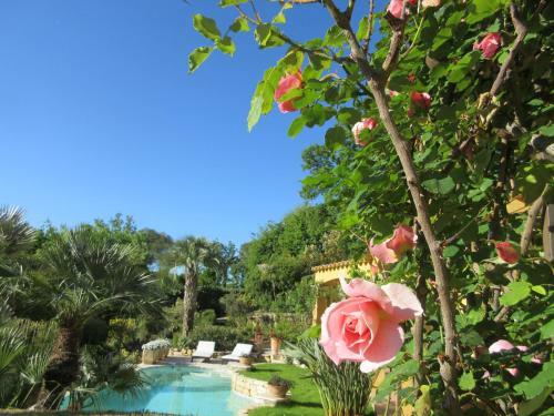 Bed & Breakfast La Dolce Vita Opio