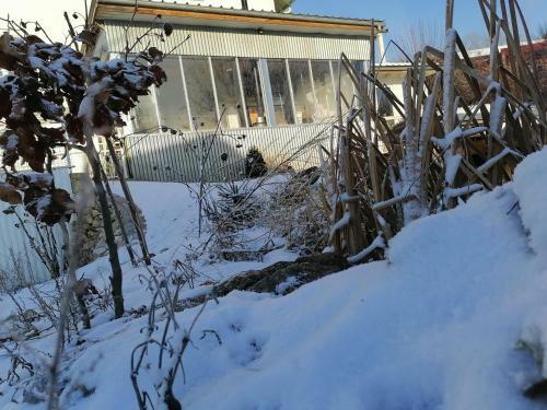 G�te Atypique Dans Une Ancienne Serre