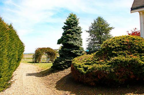 Bed & Breakfast La Veuzaine