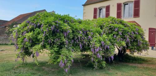 Hostal Jungbrunnen Orges