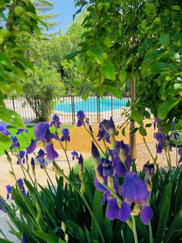 Bed & Breakfast Villa Agrippa