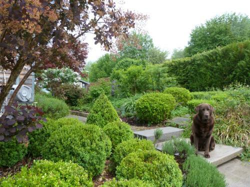 B&B Les Hauts D'ornans