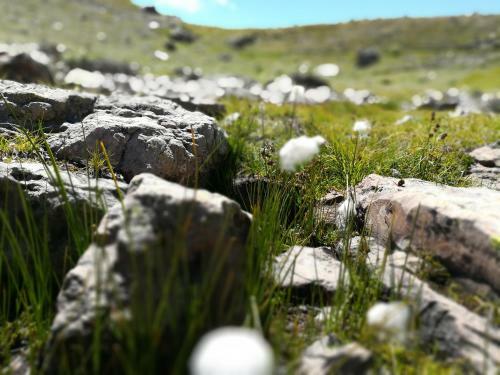Apartamento Le Plein Soleil 2 510