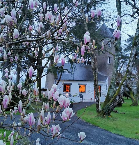 Bed & Breakfast Le Moulin De La Retardi�re