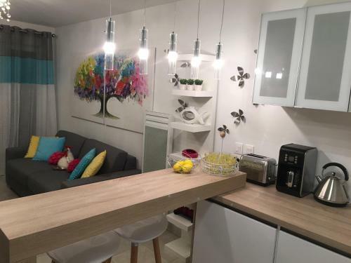 Apartamento Riviera Terrasse Nice