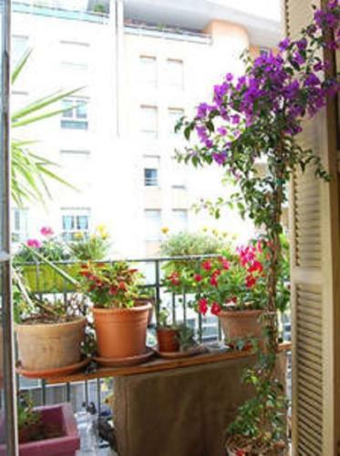 Apartamento Nissa La Bella