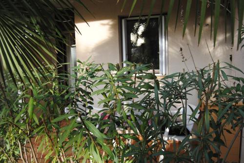 Apartamento Les Palmiers