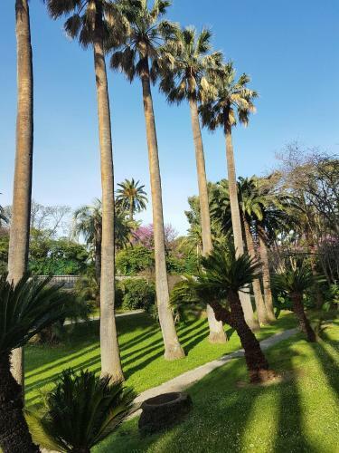 Apartamento Les Palmiers