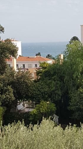Apartamento Les Palmiers
