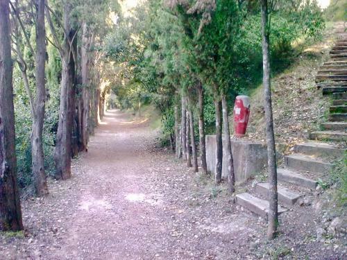 Apartamento Abbaye De Roseland