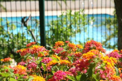 Apartamento Studio Le Fabrina Riviera