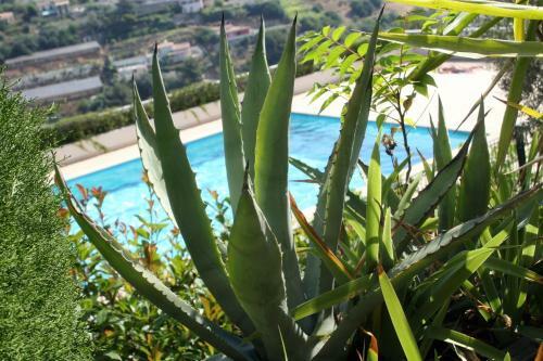 Apartamento Studio Le Fabrina Riviera