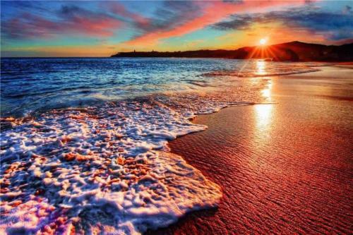 Apartamento 1 Bd King Suite: 40% Off, Beach Walk