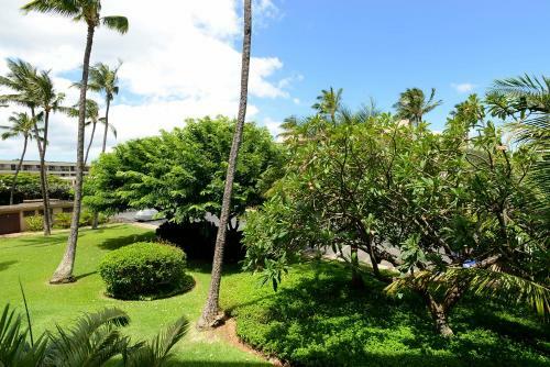 Apartamento Aloha Kahakai