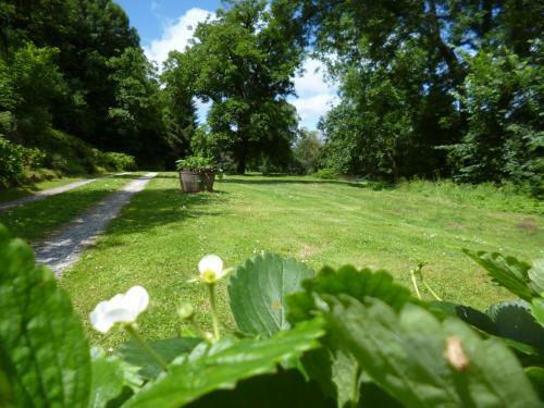 Bed & Breakfast Le Moulin De Cors