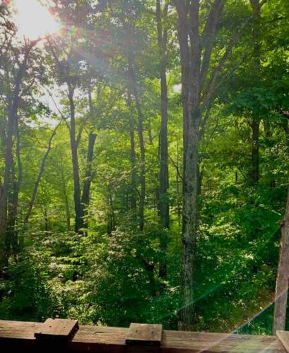 Beautiful Wintergreen Resort Townhome! Groups And Pets Welcome!