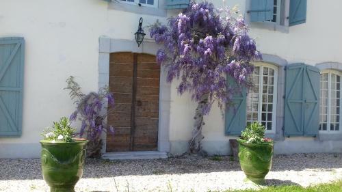 Bed & Breakfast Maison De L �v�que D'ozenx