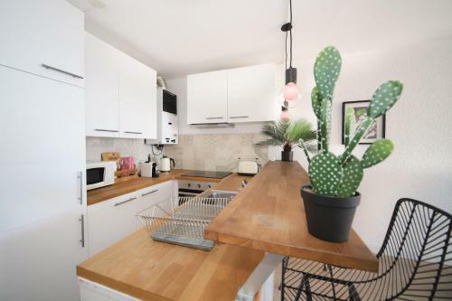 Apartamento T2 �l�gance Bord De Mer Palavas