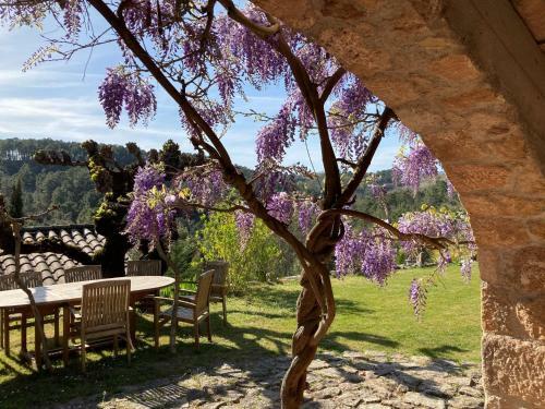 Bed & Breakfast Mas De La Giralde