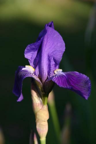 Bed & Breakfast Mas De La Giralde