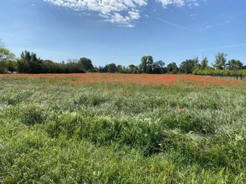 Location G�te Campagne En Provence - Vaucluse