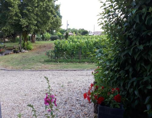 Ch�teau Vieux Mougnac