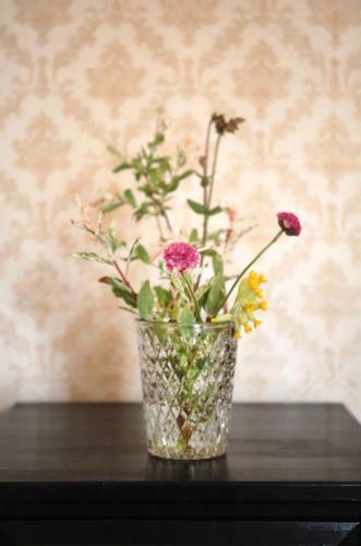 Bed & Breakfast Les Lauriers