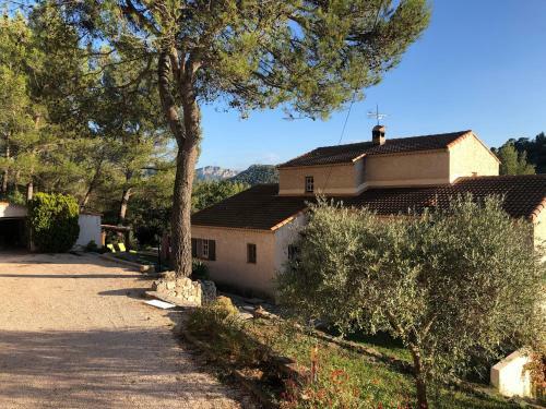 La Vie De Cocagne En Provence