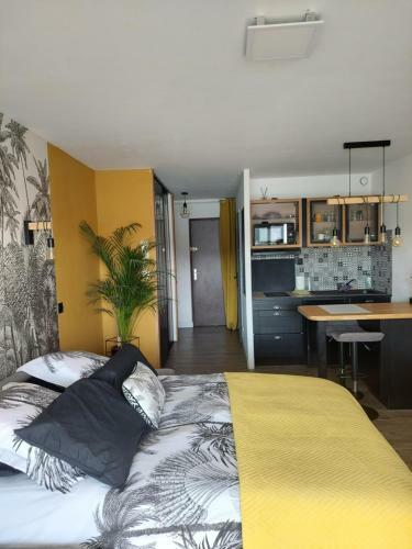 Apartamento Studio Expos� Plein Sud Vu Sur Le Port de Plaisance